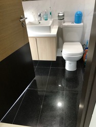 Harbour Suites (D4), Apartment #160653832